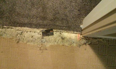dog damaged carpet repair