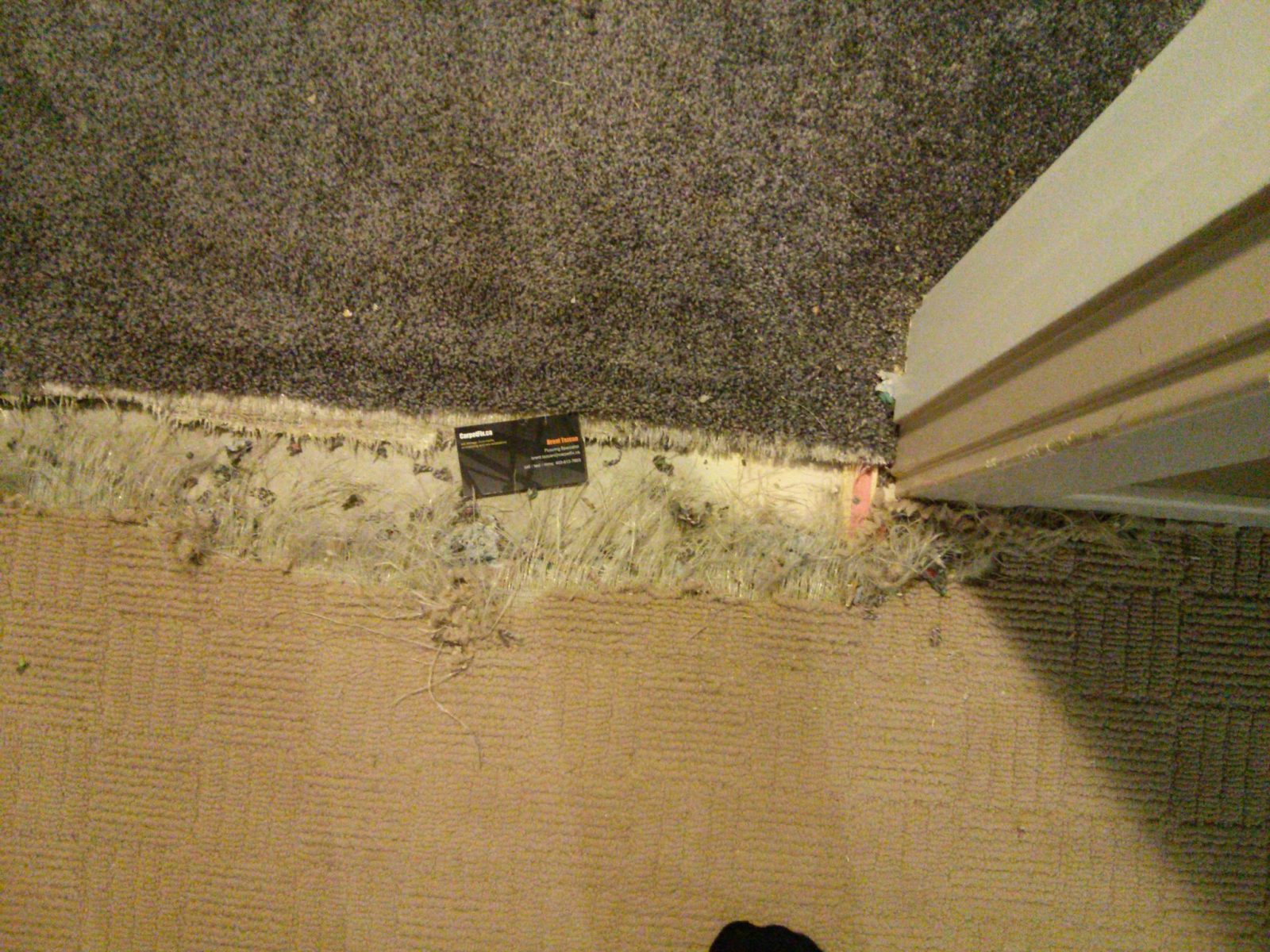Dog damaged carpet repair with the remnants