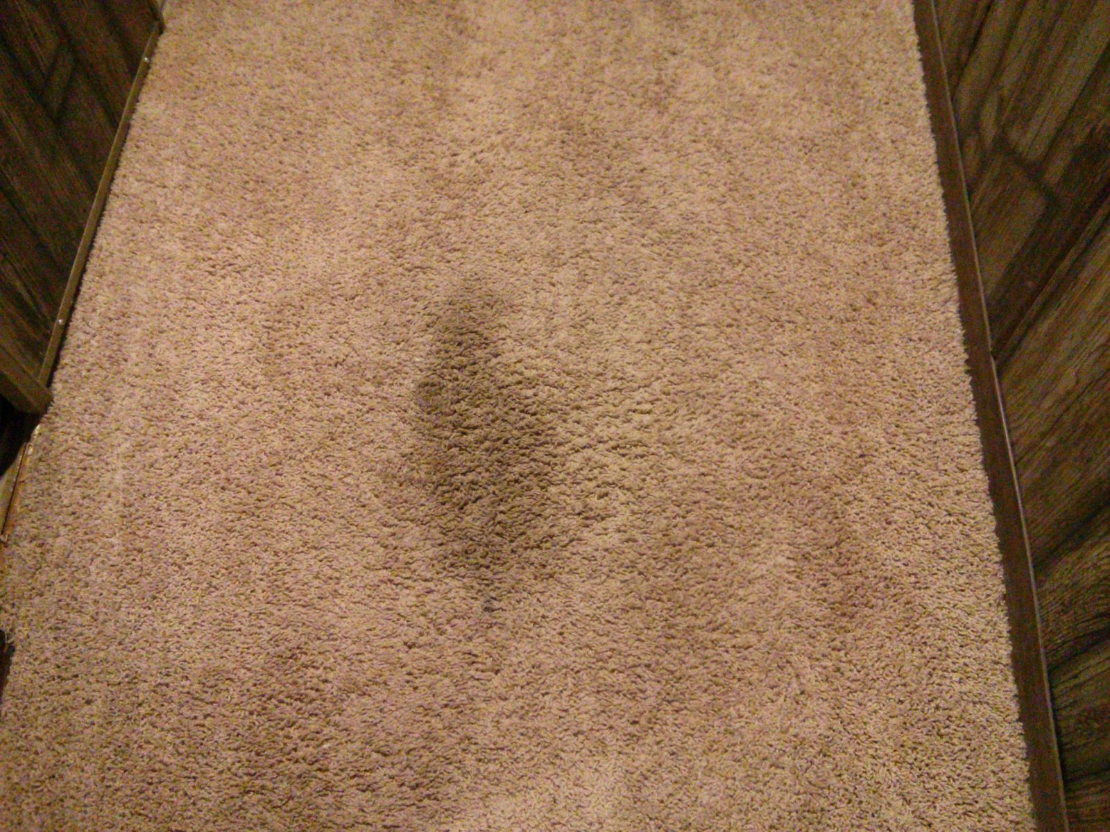 How to Repair Oil Stain and Candle Wax from the carpet?