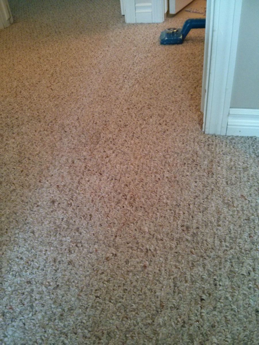 How do we repair dog damaged berber carpet