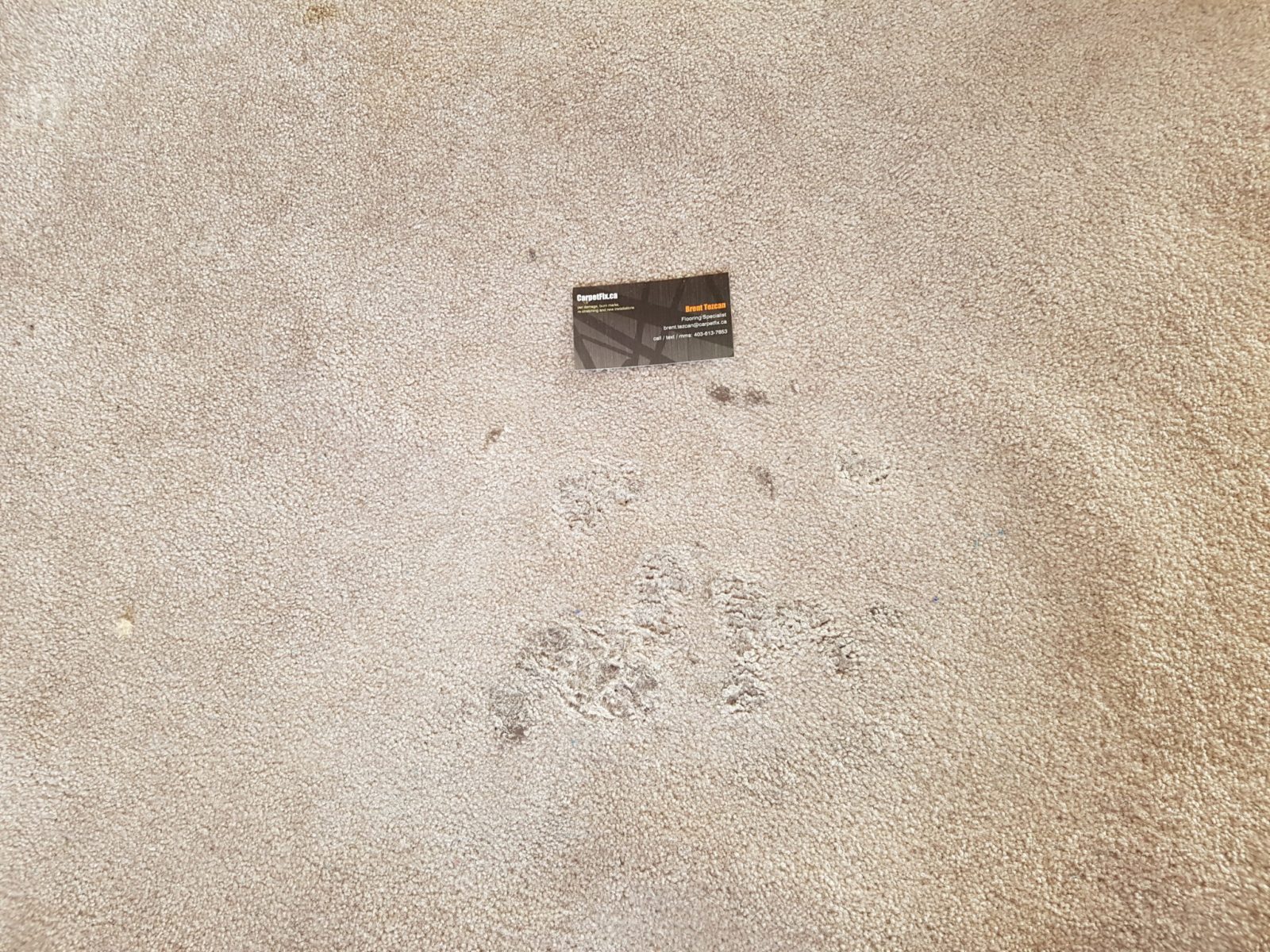 How to fix damaged carpet in the middle of the room