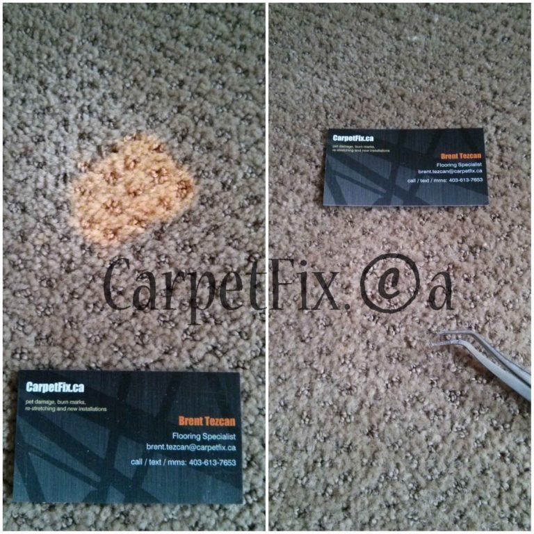 What to do after spilling bleach on the carpet?