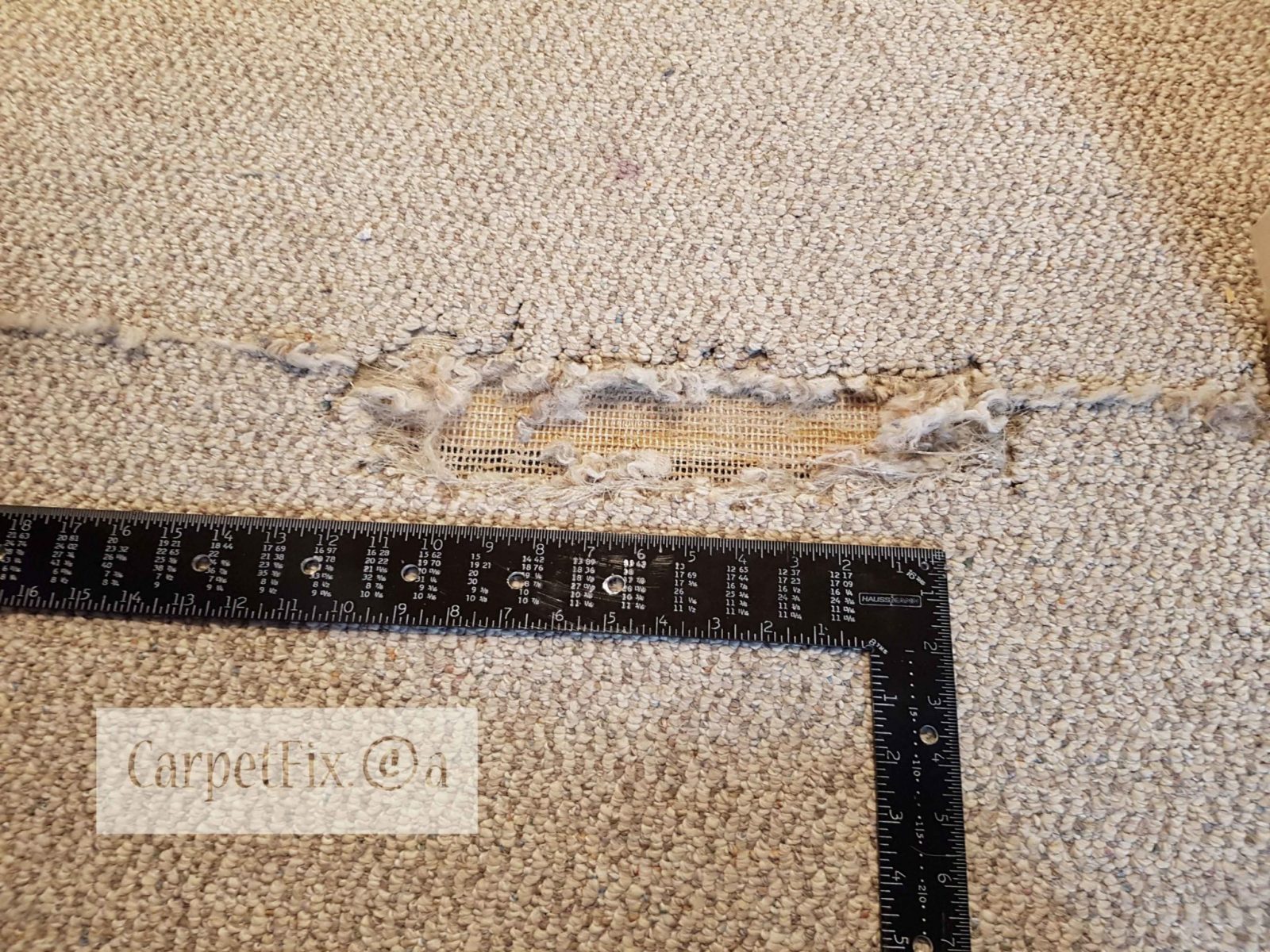 How do you repair Berber Carpet damages done by a pet