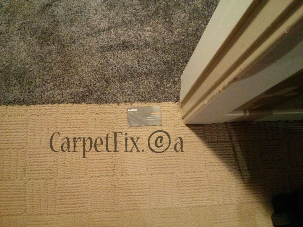 dog damaged carpet repaired