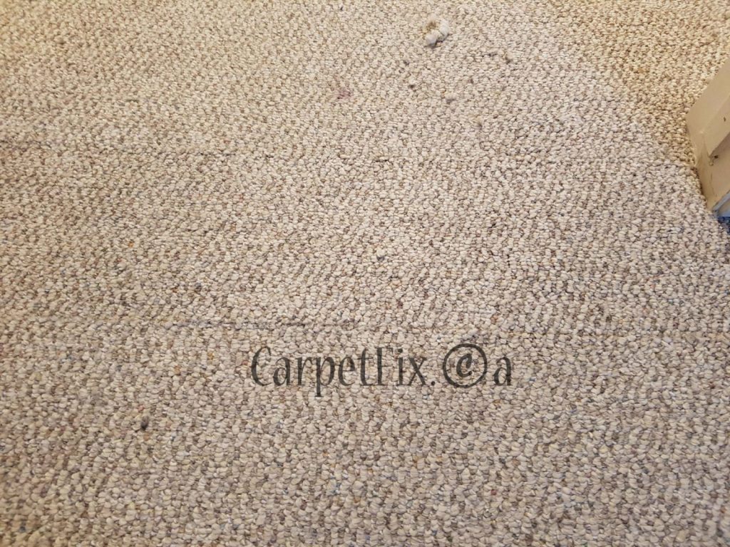 dog damaged carpet repaired