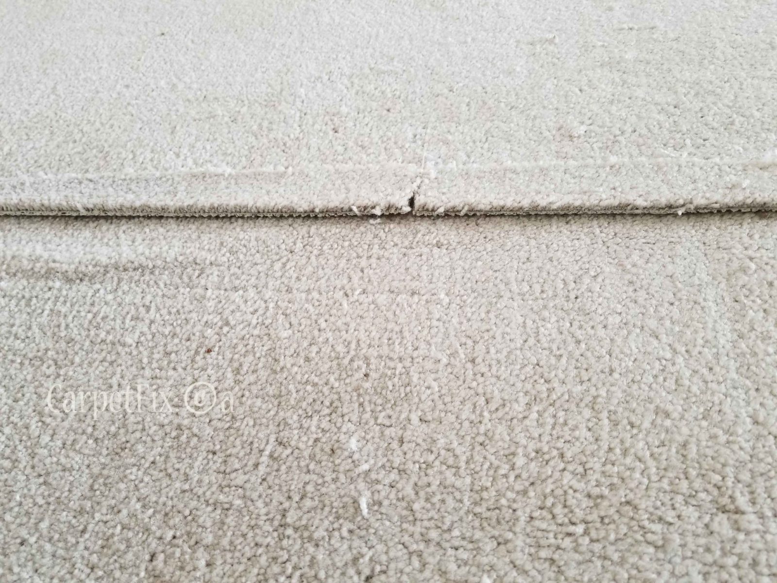 What caused my carpets to buckle and wrinkle?