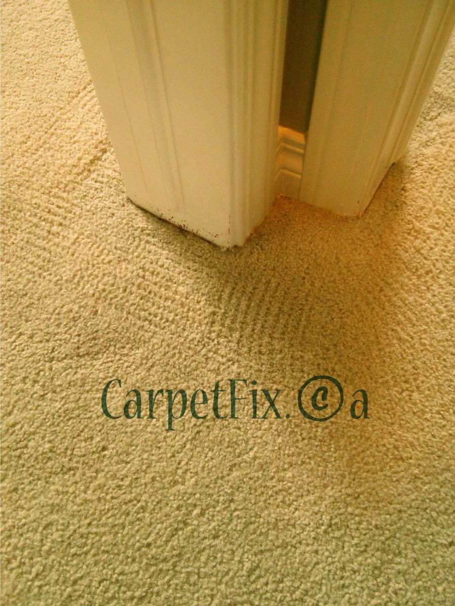 How to get rid off this old paint stain from the carpet