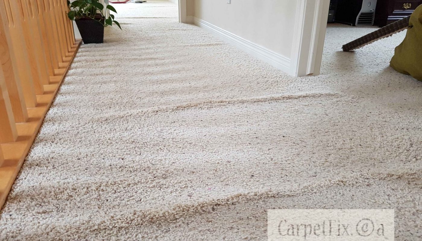 Carpet Stretching Examples with Images Calgary Carpet Repair
