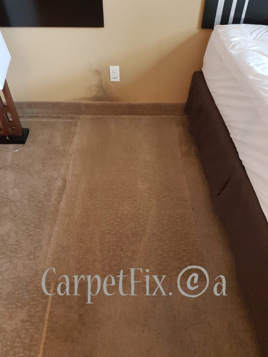 What is the Solution for a carpet burn or scorch The Best Carpet Repair and Stretch Services