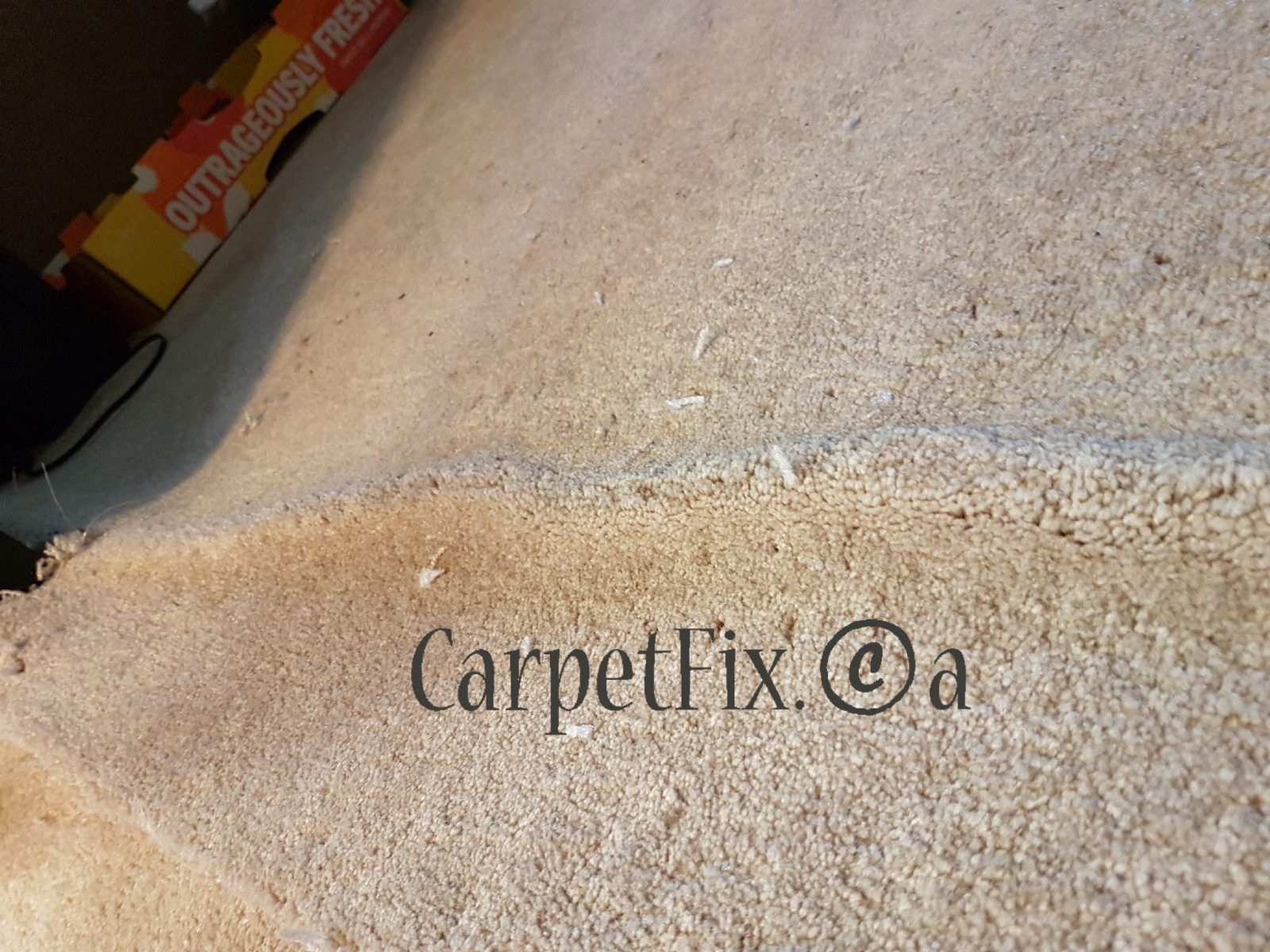 Answers to your carpet related questions are here Carpetfix.ca The