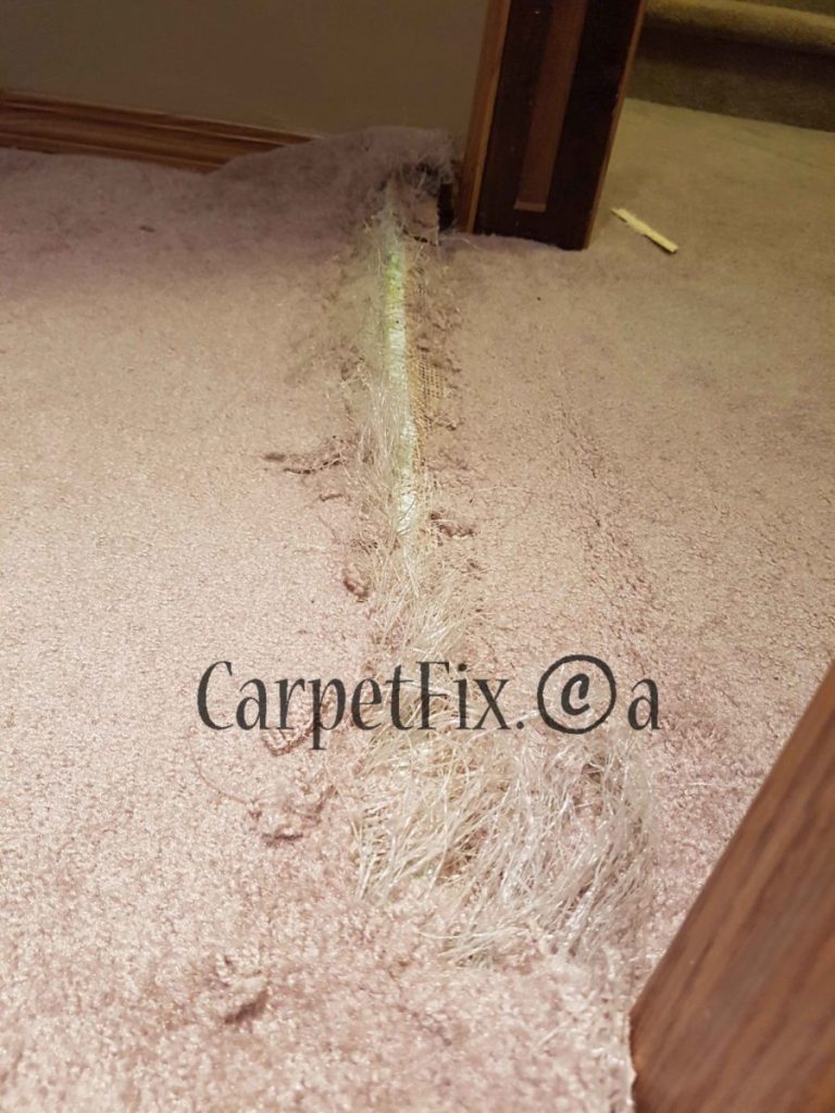 badly damaged carpet