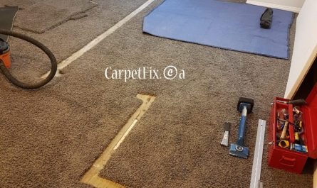 basement carpet restoration after removal of the walls