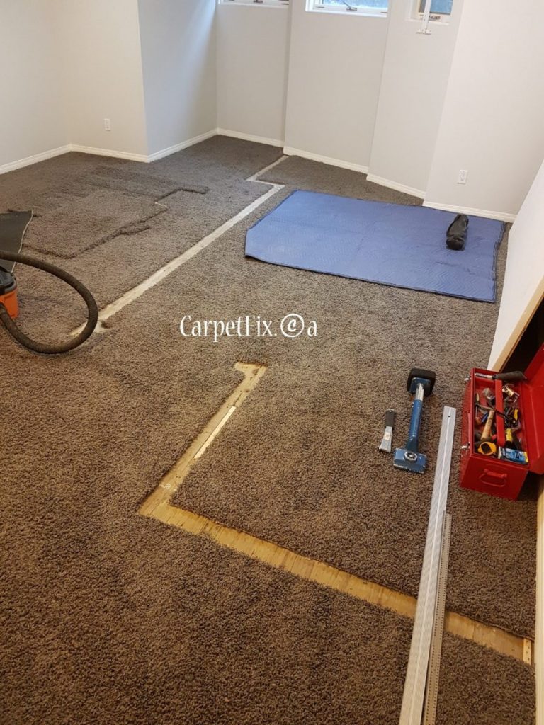 best in calgary #1 basement carpet restoration and repair services