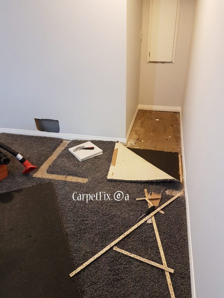 basement carpet restoration after removal of the walls