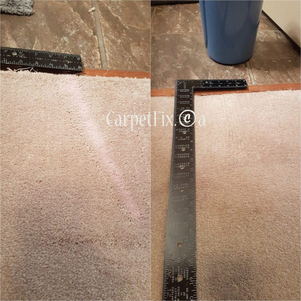 How do I remove several bleach marks from the carpet? The Best Carpet