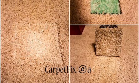carpet cleaning damage repair