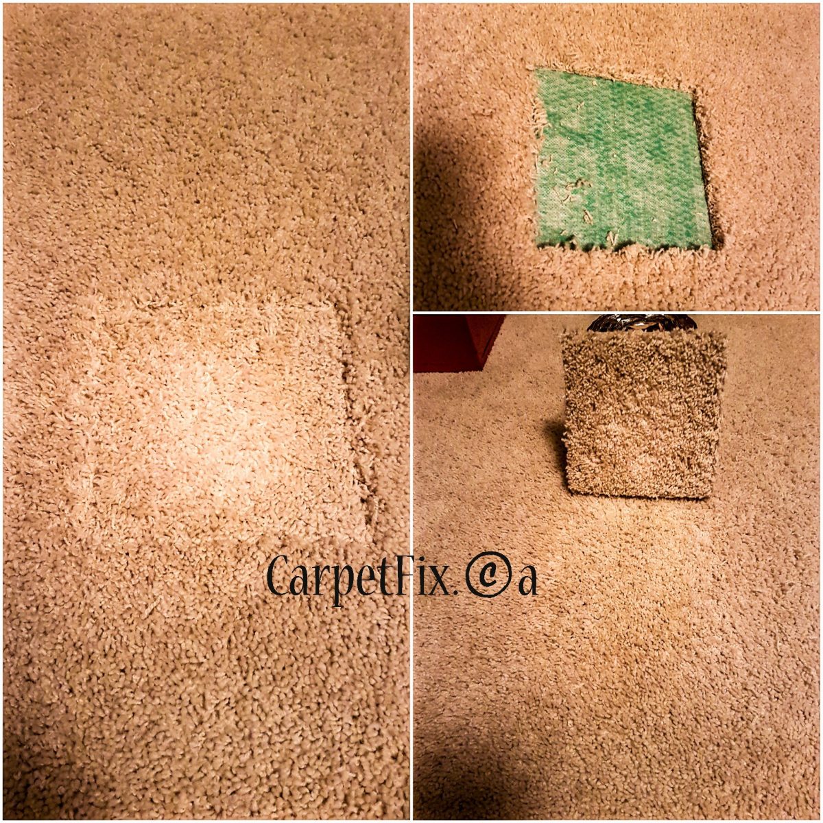 carpet cleaning damage repair