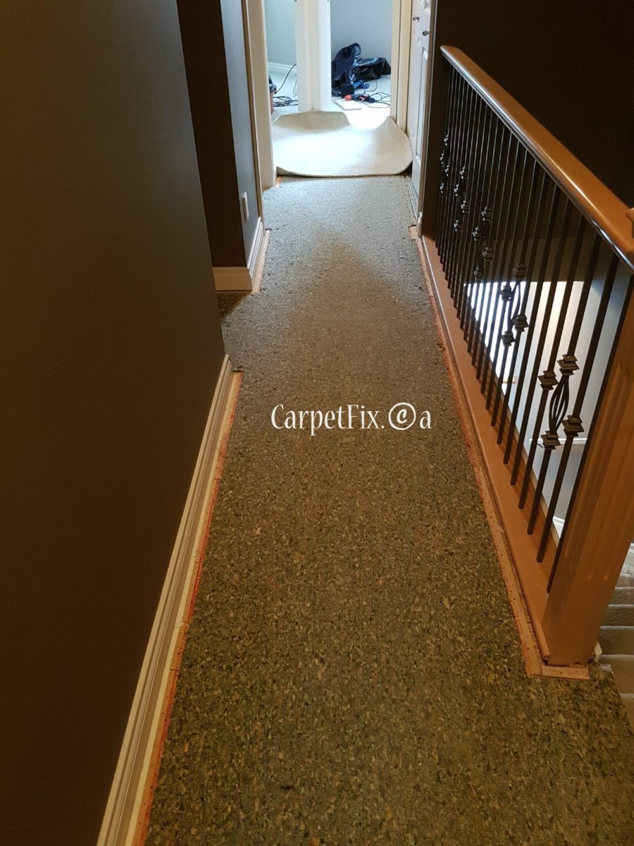 Carpet Restoration Examples from the number one shop in Calgary The