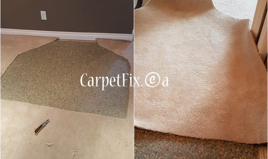 Carpet Restoration Examples