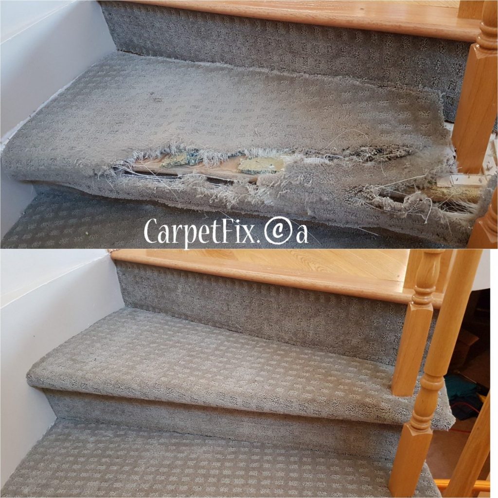 calgary carpet repairs pet damage examples
