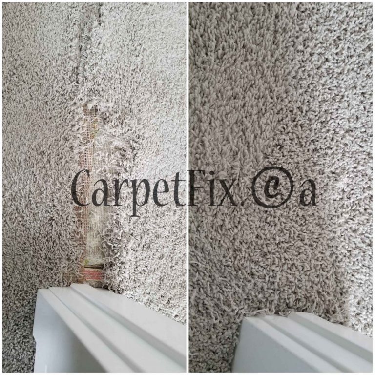 Carpet Fix is one Pet Damage repairs in Calgary The Best Carpet