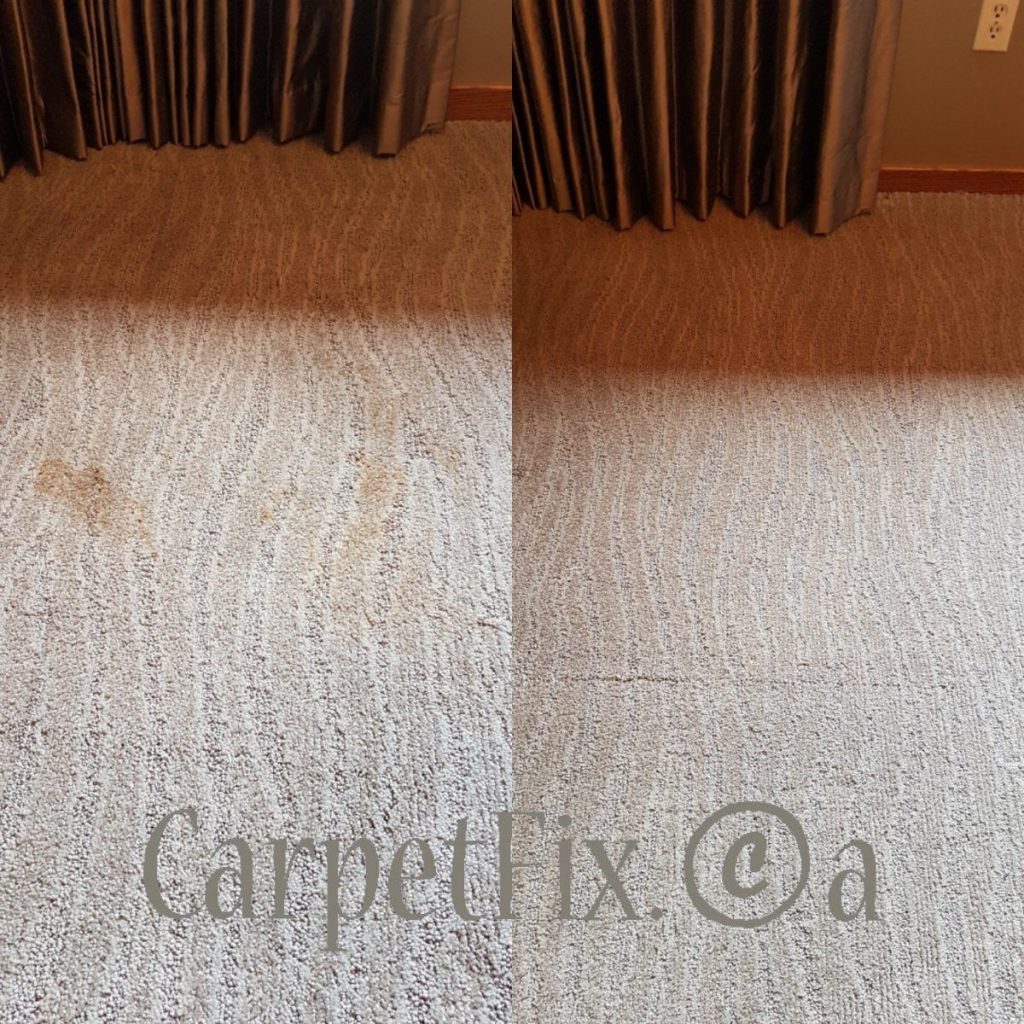 wine stain removal from carpet