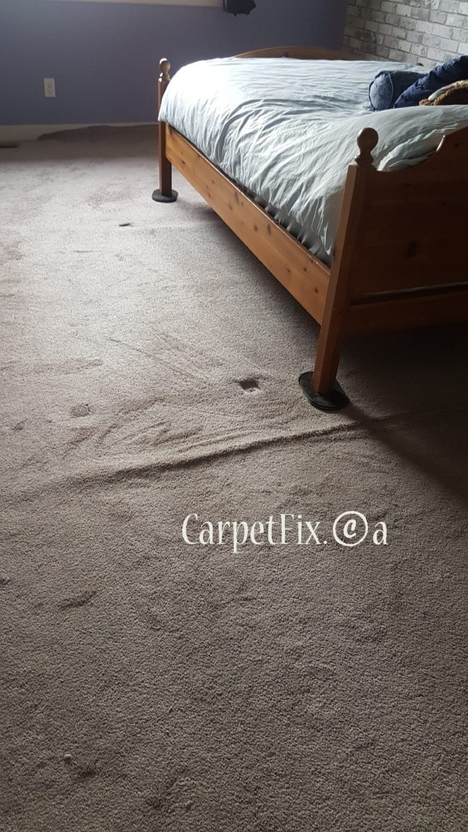 How to avoid visible crease lines after the carpet has been stretched