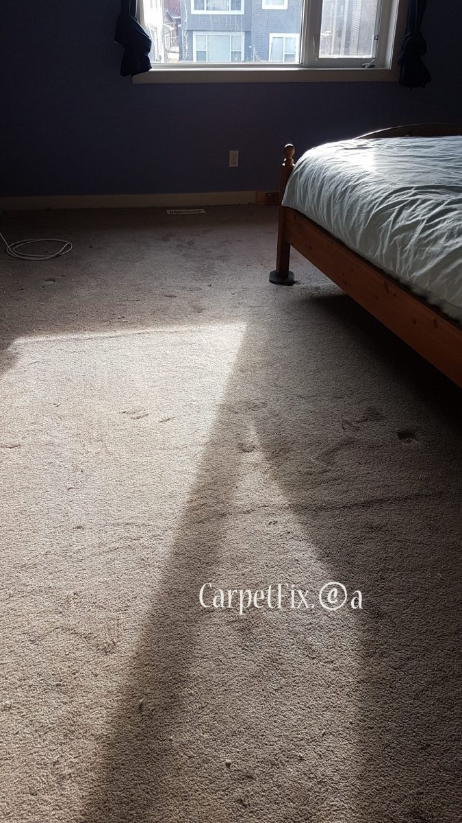How to avoid visible crease lines after the carpet has been stretched
