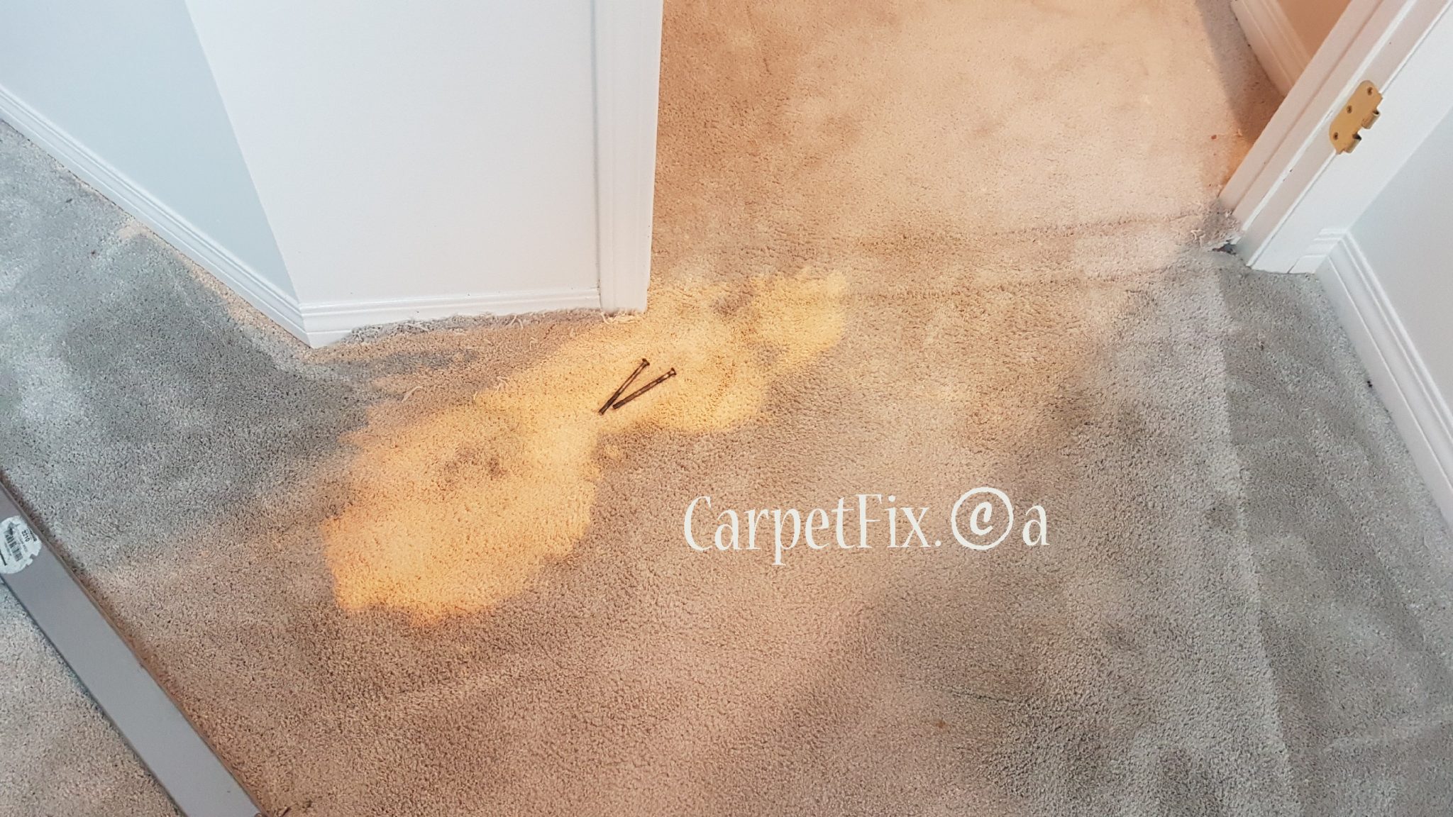 How to restore color after a bleach mark? The Best Carpet Repair and