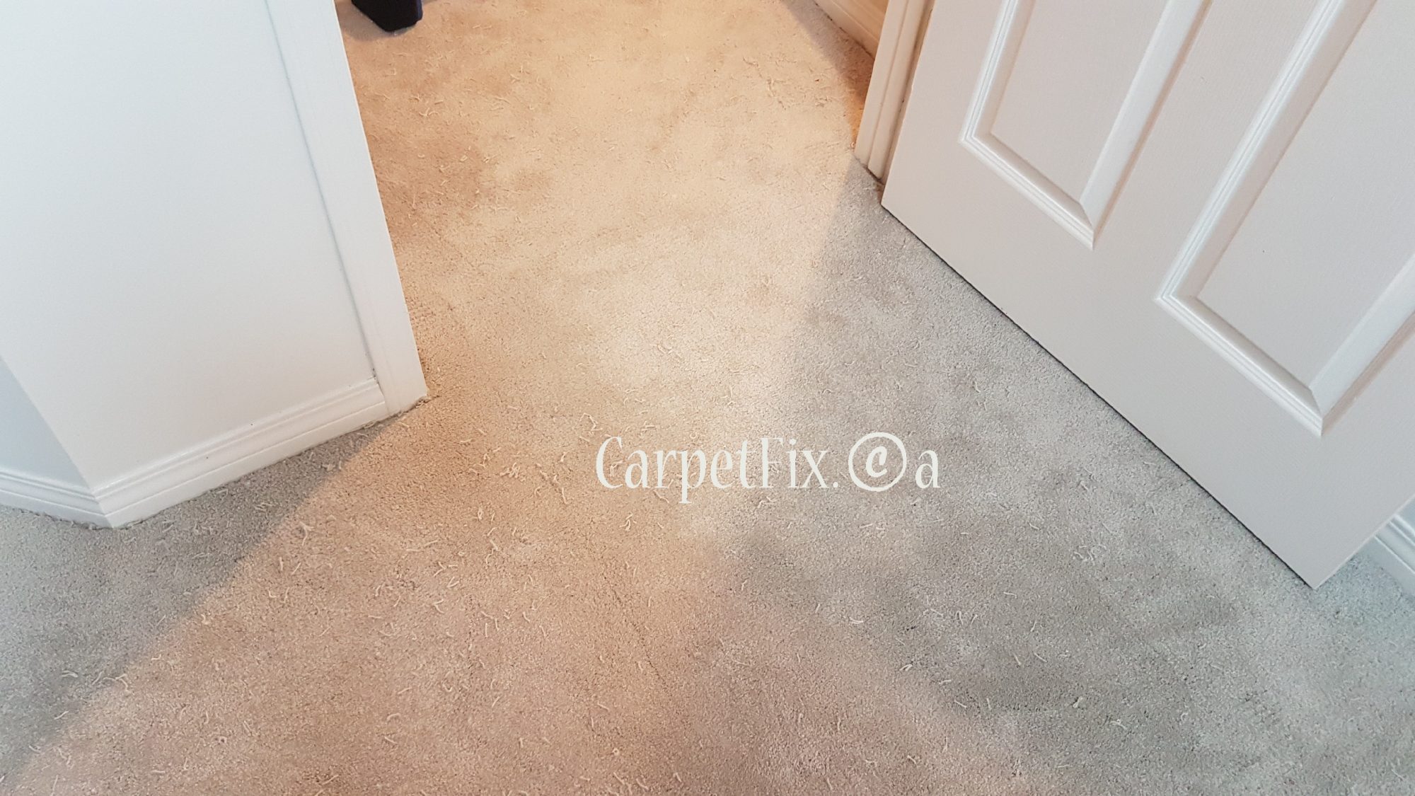 How to restore color after a bleach mark? The Best Carpet Repair and Stretch Services in Calgary