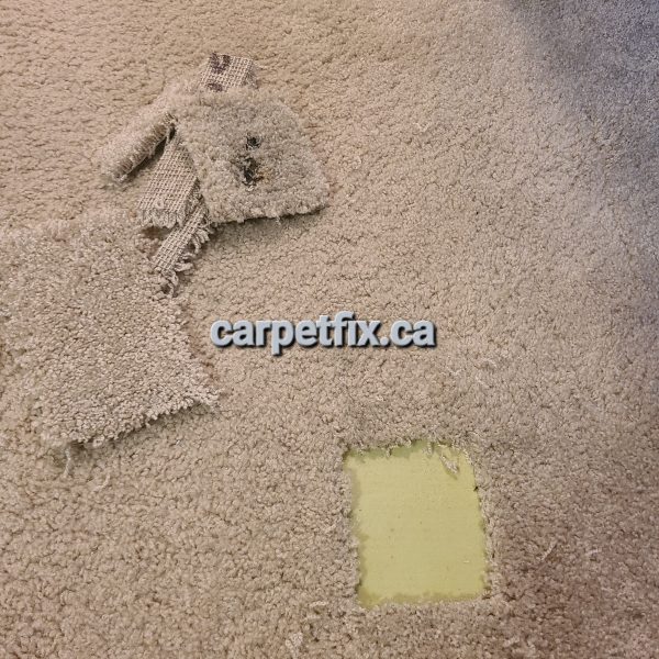 Burnt carpet repair