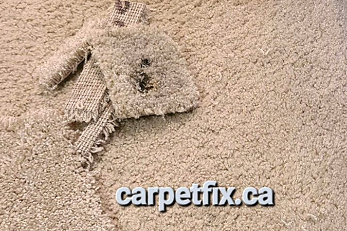 burnt carpet repair carpetfix