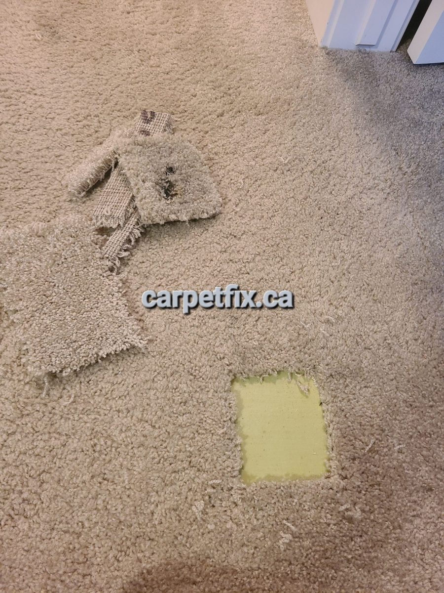 burnt carpet repair