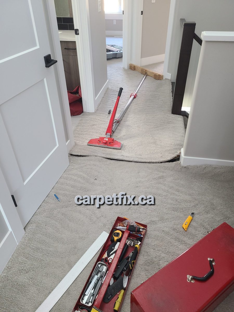 professional carpet hallway stretch