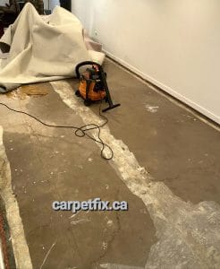 carpet drying after basement flood