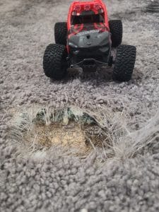 dog chewed carpet repair in Calgary, carpet and underlay was gone after all