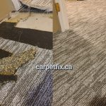 pattern carpet was torn by a Husky
