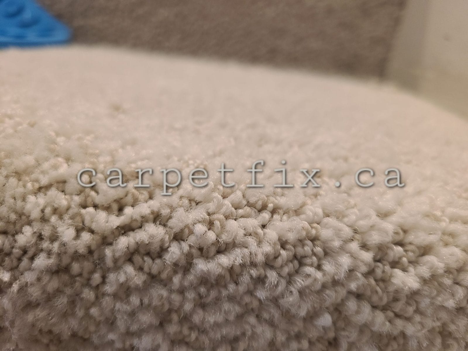 Cat damaged carpet on stairs is a major eye sore, we can fix it for you just like this one