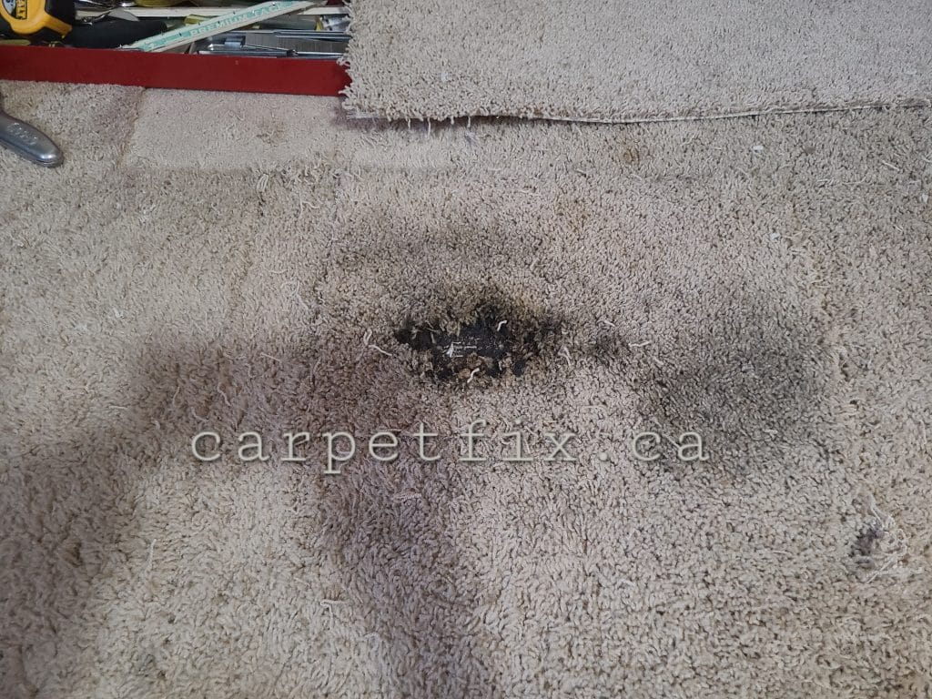Burn mark repairs specialist, carpetfix.ca is done another job successfully