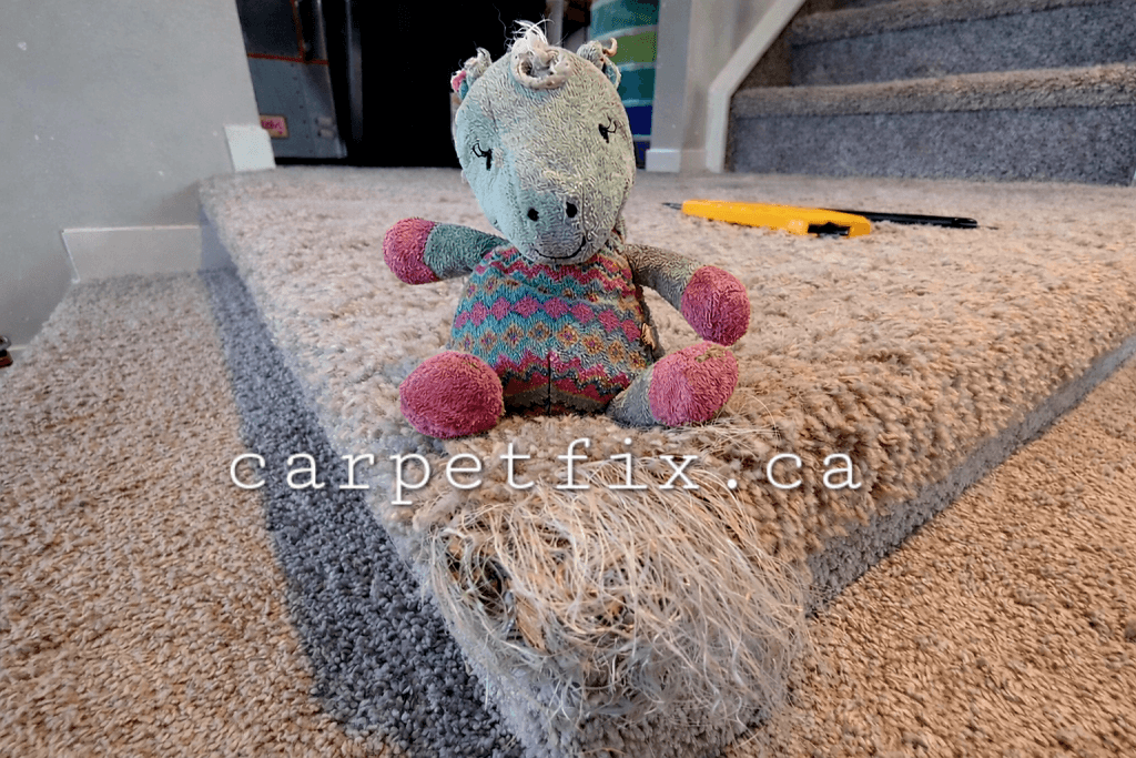 little monster chewed up the carpet