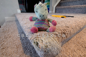 little monster chewed up the the carpet