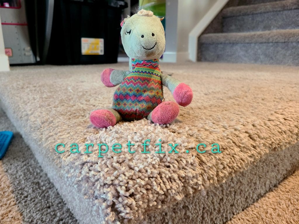 little monster chewed up the carpet, and we repaired it