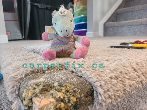 little monster chewed up the the carpet