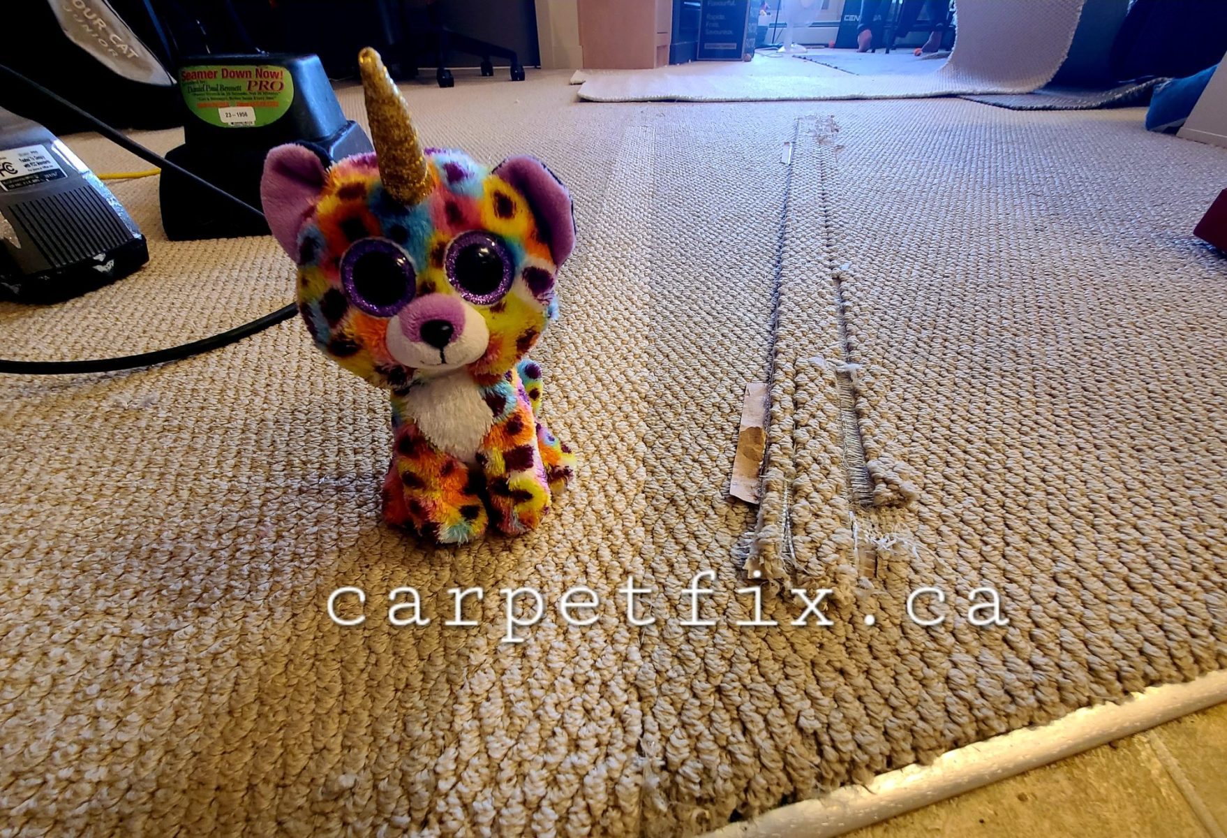 Cat damaged carpet on stairs is a major eye sore, we can fix it for you just like this one