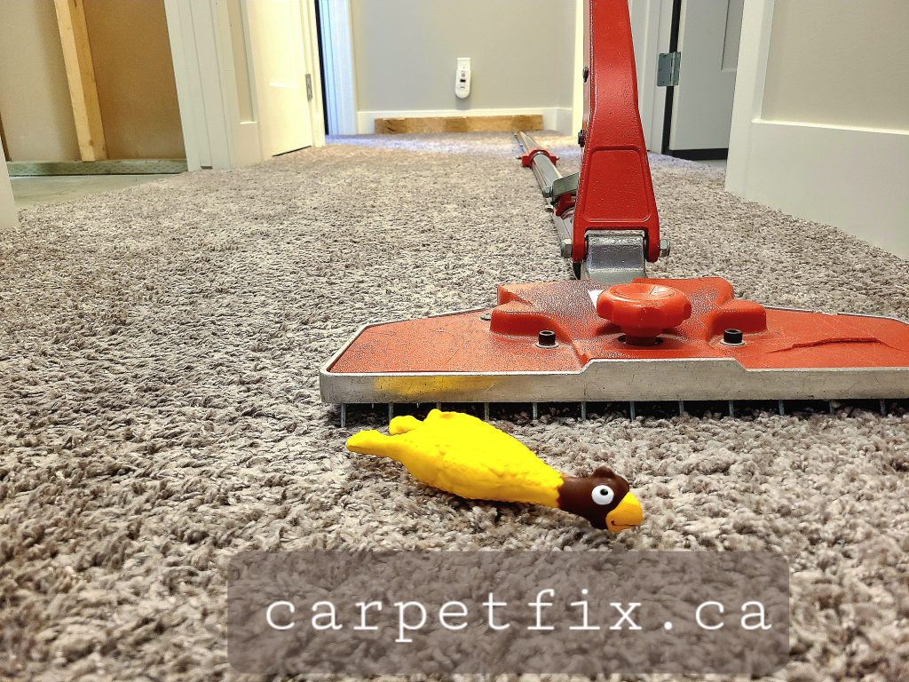 20260205_175556 carpet repairs and stretching in Cochrane
