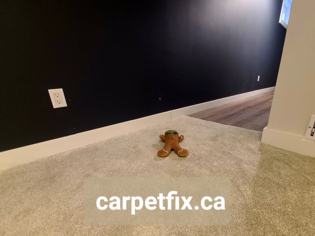 carpet restoration after a minor water leak