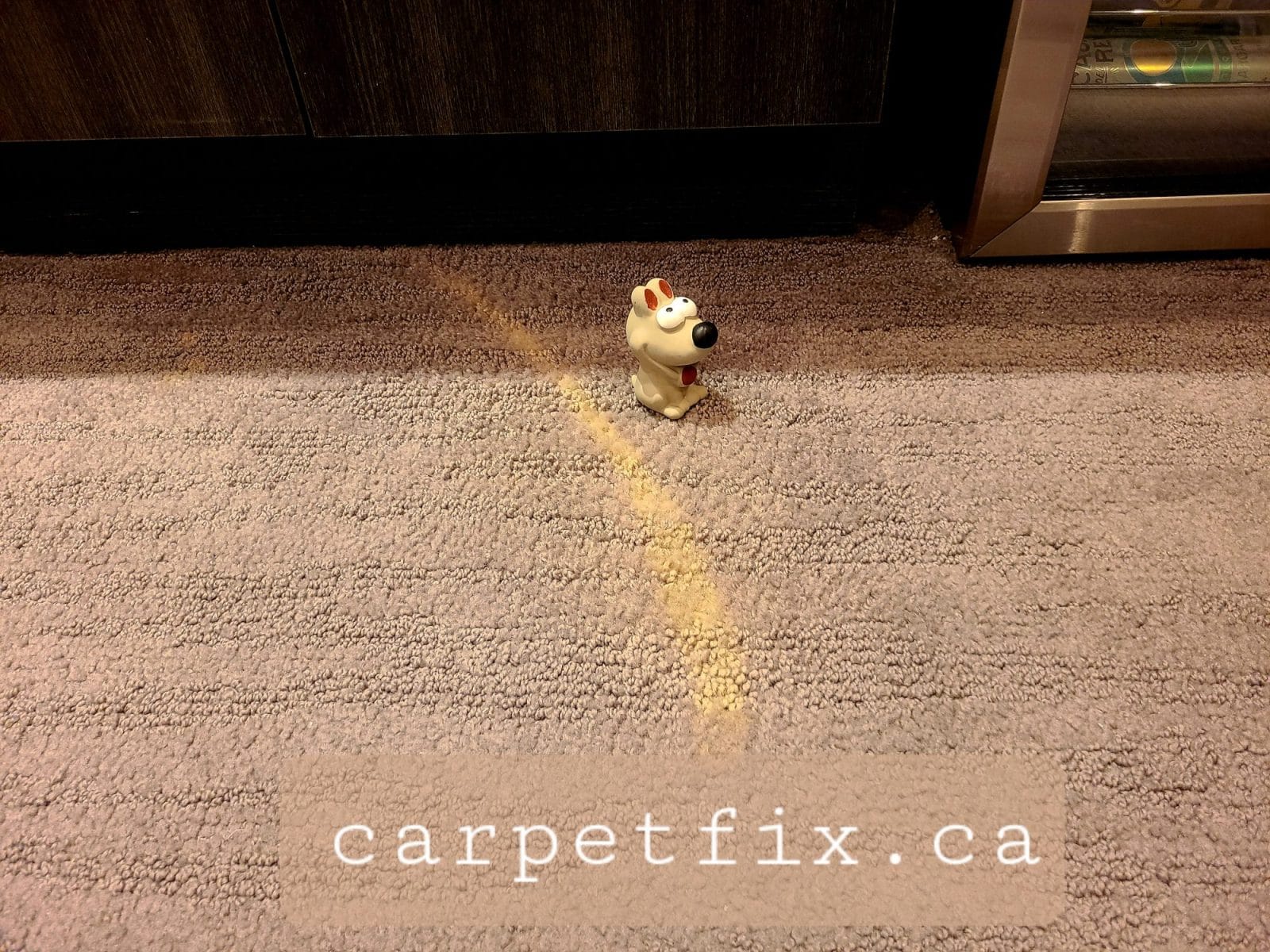 do not clean your carpet with anything bleach in it