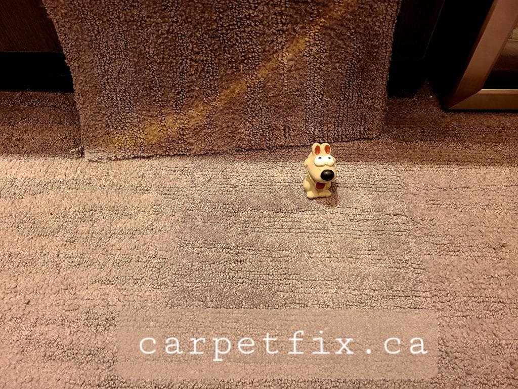 do not clean your carpet with anything bleach in it