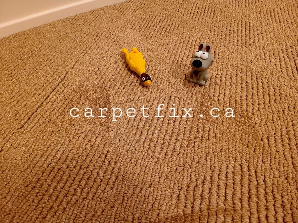 Fix Scorched & Melted Carpet Without Replacement