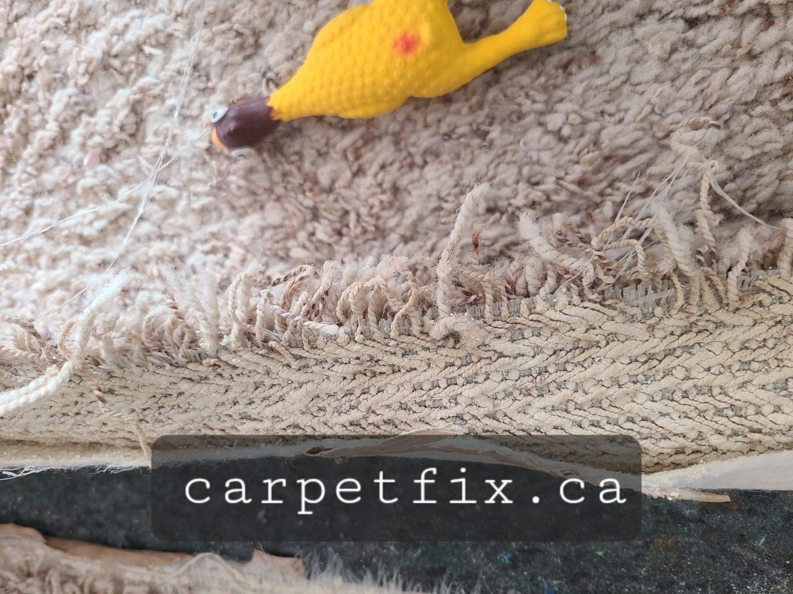 carpet backing is damaged by pulling the carpet from the seam area